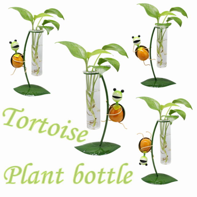 Cute Tortoise Plant Bottle for Home Decoration Craft China Manufacturer Sino Glory
