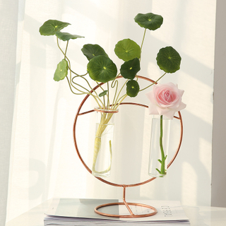Round Shape Unique Durable Vintage Nordic Metal Stand Glass Vase for Flower