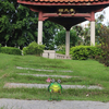 Metal Frog Statue Animal Solar Powered Garden Llights Manufacturer